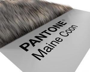 Cover_Website