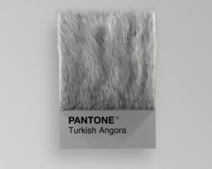 Turkish Pantone